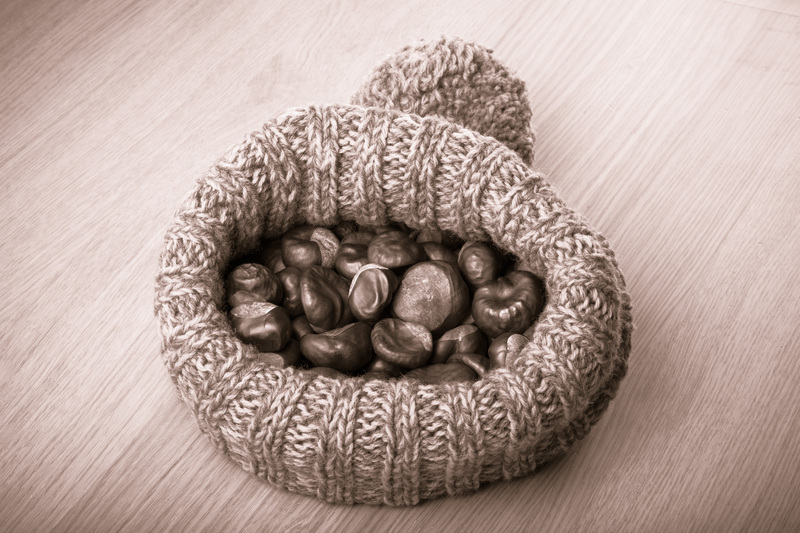 Essential Skip Hire Dos and Don'ts Every User Should Know